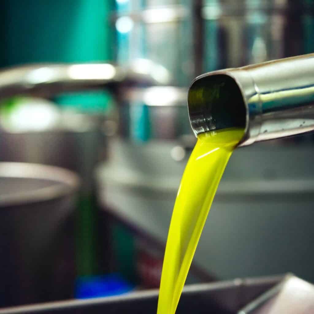 Olive oil pouring out of the press and is a lime green color